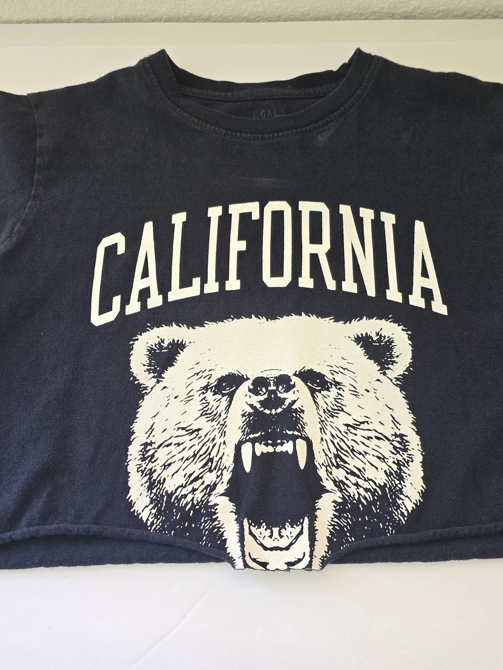 Brandy Melville/John Galt Navy Blue California Bear Crop Top